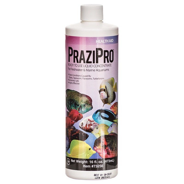 Hikari Aquarium Solutions PraziPro - 16 oz