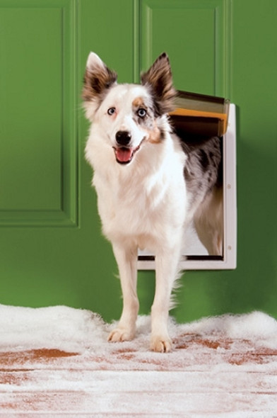 PetSafe Extreme Weather Pet Door - Medium