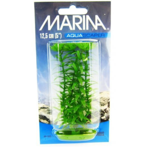 Marina Aquascaper Anacharis Plant - 5" Tall