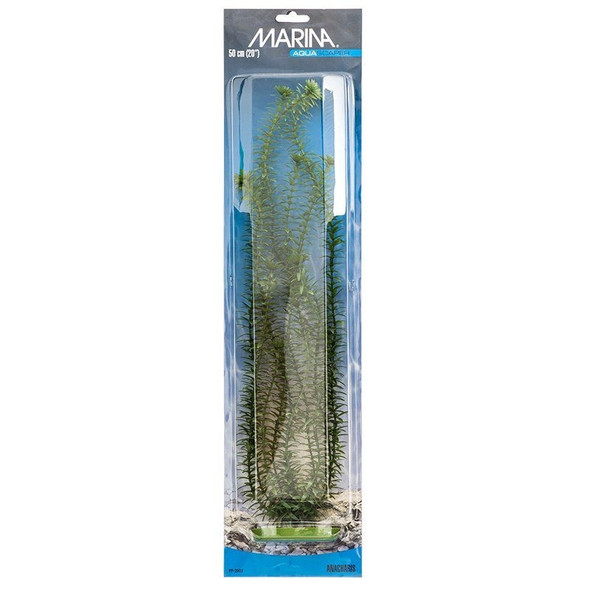 Marina Aquascaper Anacharis Plant - 20" Tall