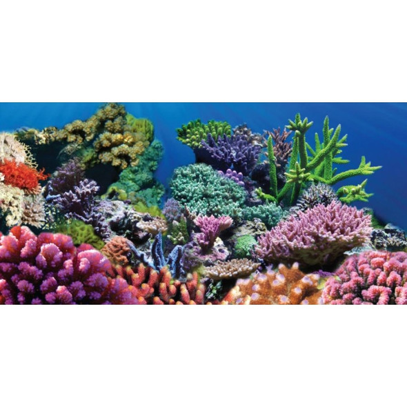 Aquatic Creations Coral Cling Aquarium Background - 36" Long x 18" Wide