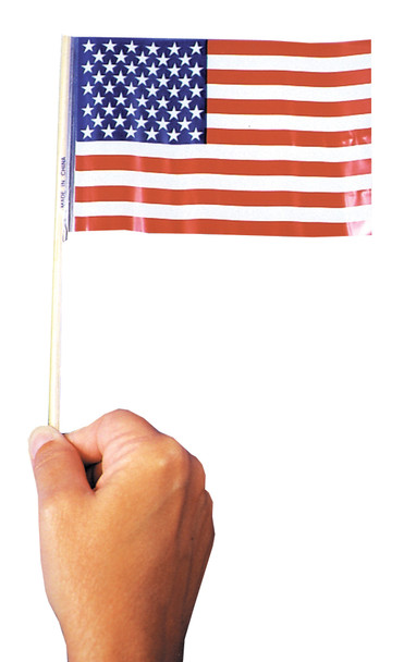 4" Plastic USA Flag-Pack Of 72 Adult