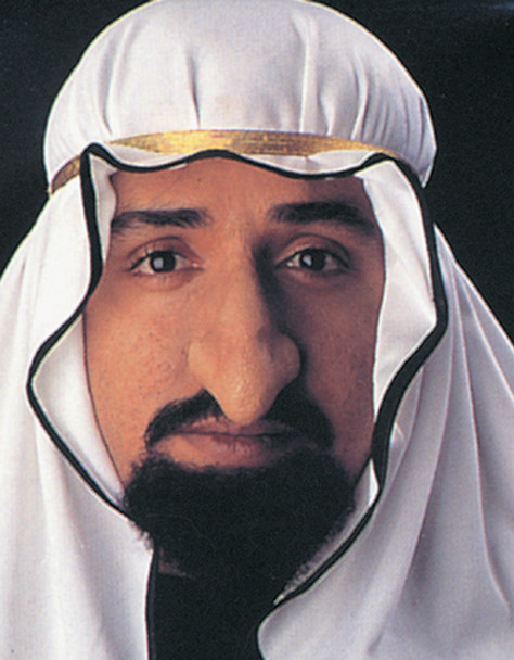 Sheik Fagin Nose Adult