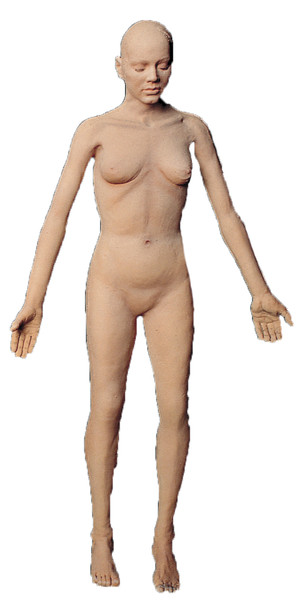 Flex Body Female
