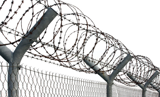 Razor Wire Adult