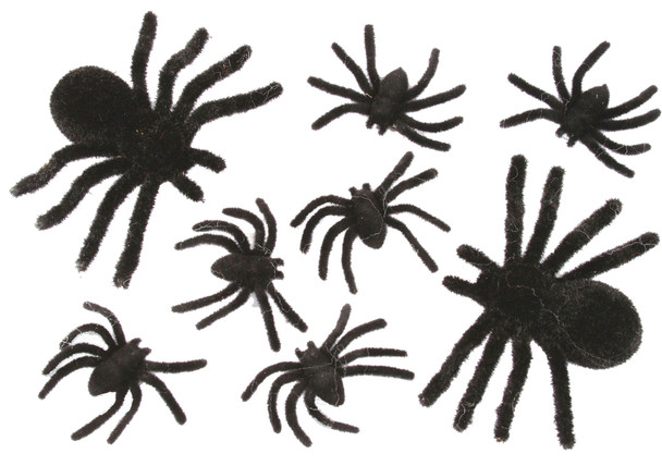 Spider Family 8 Card Black Fuzzy