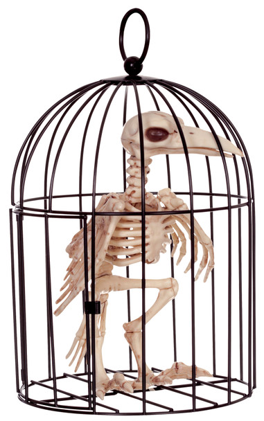 Skeleton Crow In Cage Skeleton Crow In Cage