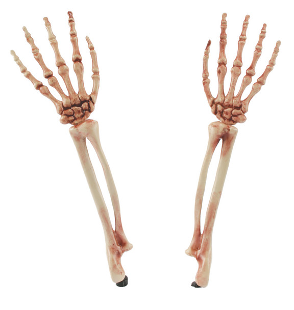 Skeleton Arms