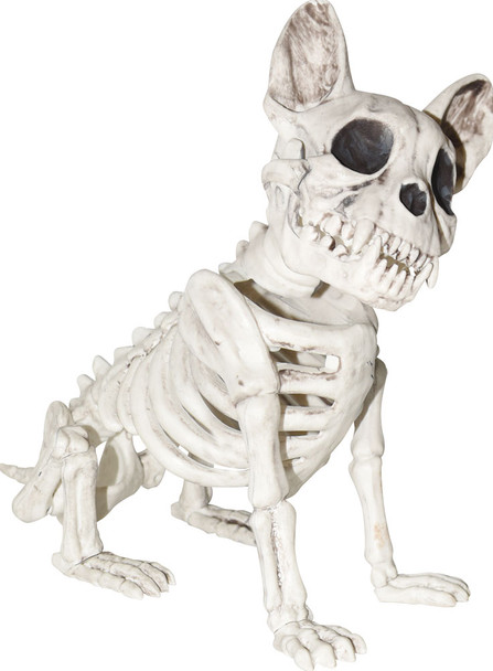 Dog Skeleton