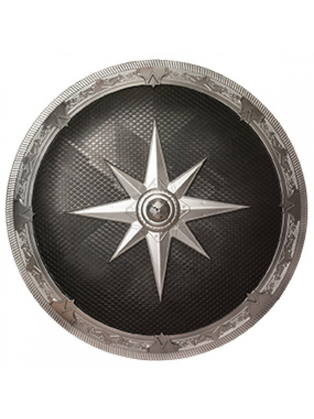 Silver And Black Shield