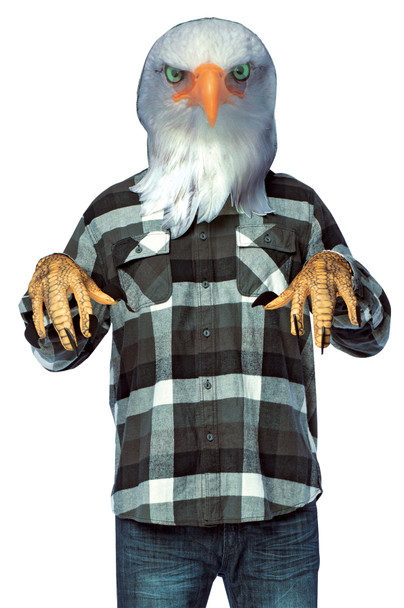 Eagle Mask Kit Adult