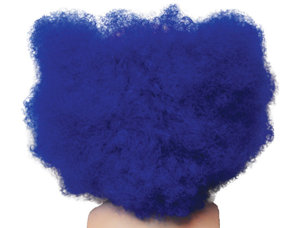 Men's Wig Bald Curly Clown Fl Front Blue