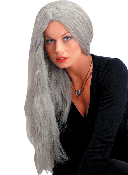 Women's Wig 24" Straight Gray