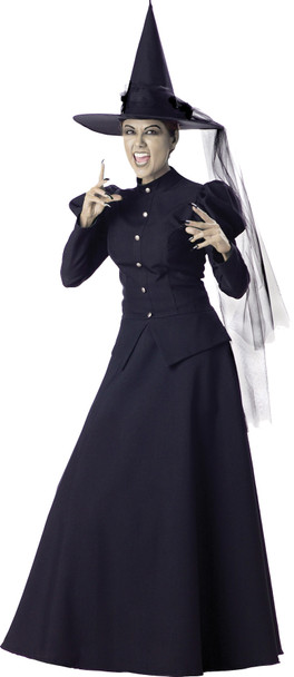 Women's Witch Adult Costume