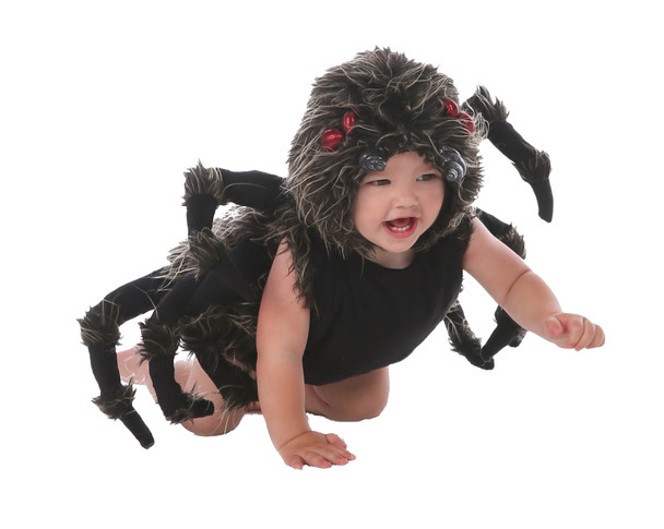 Infant Tarantula Talan Baby Costume