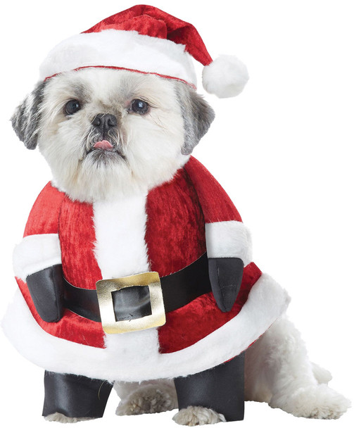 Santa Paws Dog Pet Costume