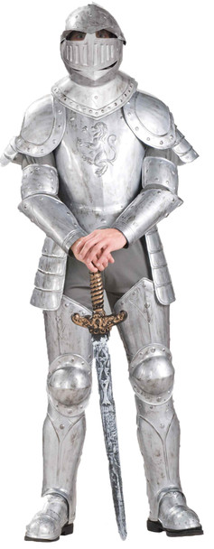 Men's Knight In Shining Armor Adult Costume