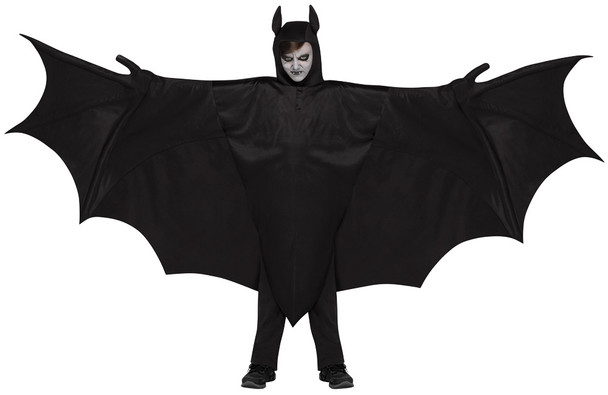 Boy's Wicked Wing Bat Child Costume