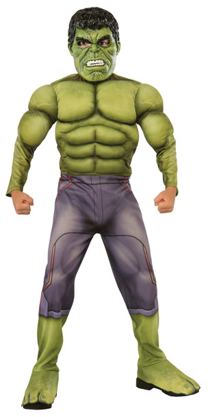 Boy's Deluxe Muscle Chest Hulk Child Costume