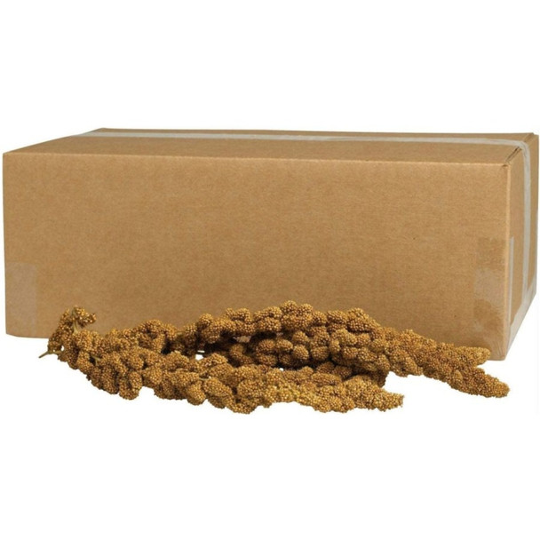Kaytee Natural Gold Spray Millet for Birds - 5 lbs