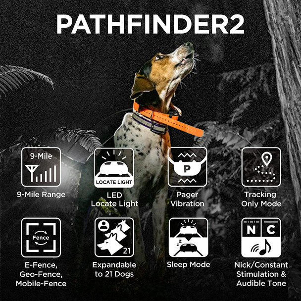 Dogtra Pathfinder 2  GPS Dog Tracker & Training Collar - Green