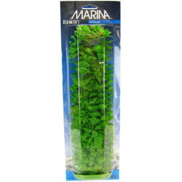 Marina Aquascaper Ambulia Plant - 15" Tall