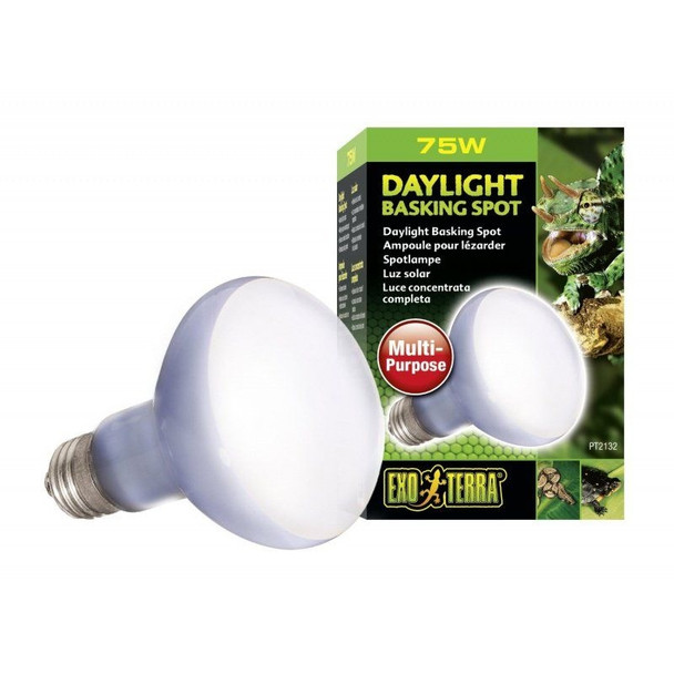 Exo-Terra Sun Glo Neodymium Basking Spot Lamps - 75 Watts