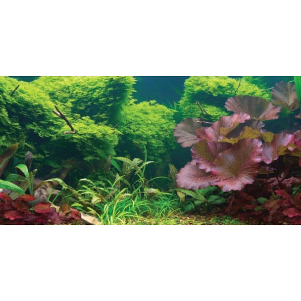 Aquatic Creations Tropical Cling Aquarium Background - 24" Long x 12" Wide