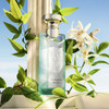 Bvlgari Eau Parfumée Au Thé Vert Eau De Cologne