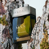Bvlgari Man Wood Essence Eau De Parfum