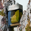 Bvlgari Man Wood Essence Eau De Parfum
