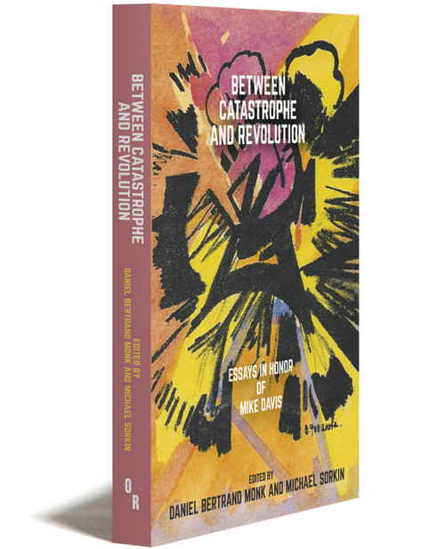Between Catastrophe And Revolution | Essays In Honor Of Mike Davis | Edited By Daniel Bertrand Monk And Michael Sorkin | Orbooks