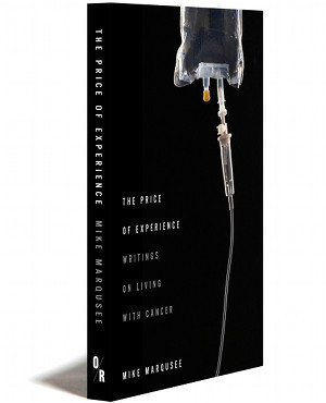 The Price of Experience - Paperback