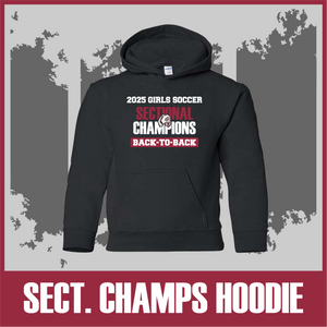DANVILLE Girls Soccer SECTIONAL CHAMPIONS hoodie DANVILLE Girls Soccer SECTIONAL CHAMPIONS hoodie