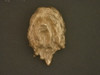 Lhasa Apso Head Front View Pendant