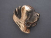 English Mastiff Head Med R (Cork) Pendant