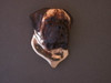 English Mastiff Head Mitus Sm Pendant