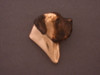 English Mastiff Head R Pendant