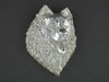 Samoyed Head 3.4 View X Lrg R Pendant