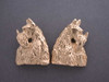 Scottish Terrier Earrings  Full Body Back L & R