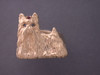 Yorkshire Terrier Ring Full Body