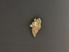 Chihuahua Head Longhair Med 3 4 View Pendant