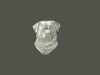 Rottweiler Head Pendant Med Pendant