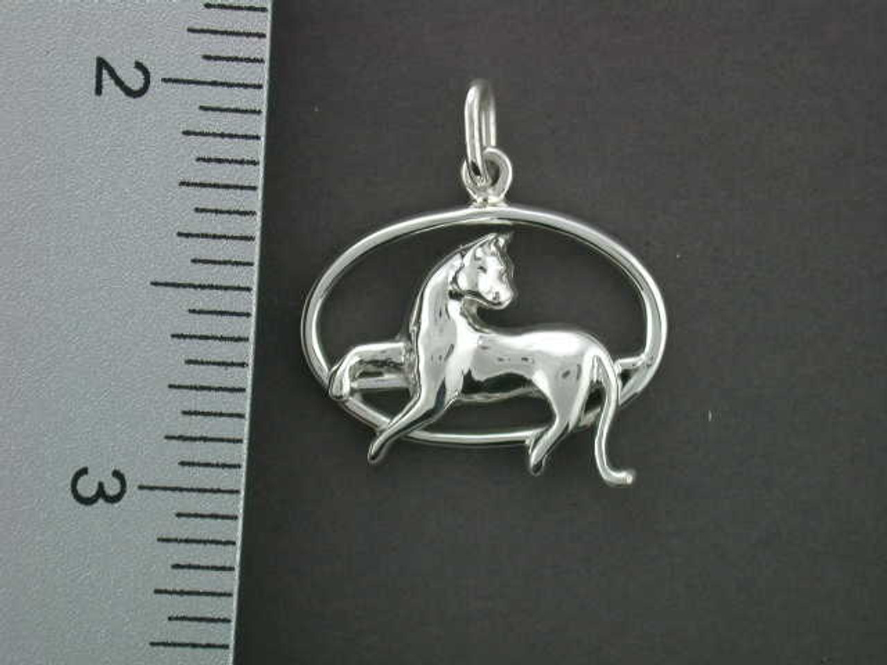 Frame Oval Wire With Cat Silver Pendant