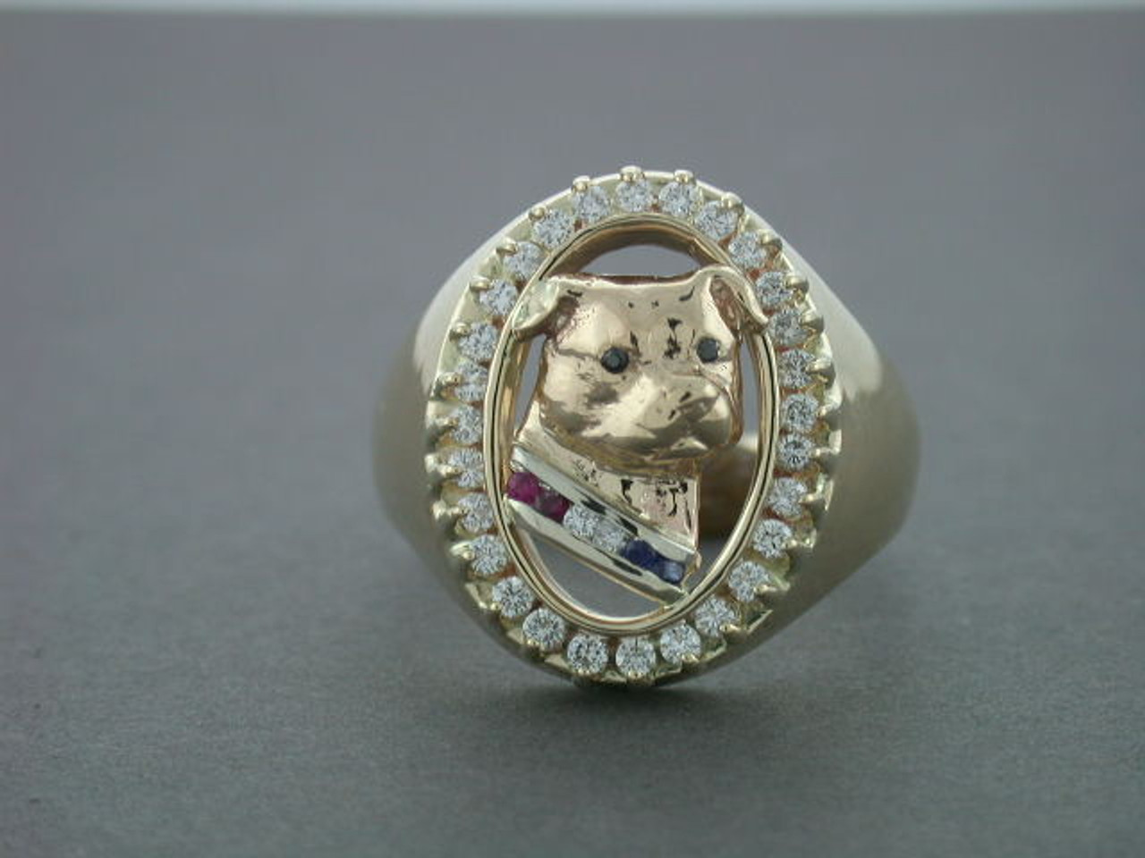 American Staffordshire Terrier Ring