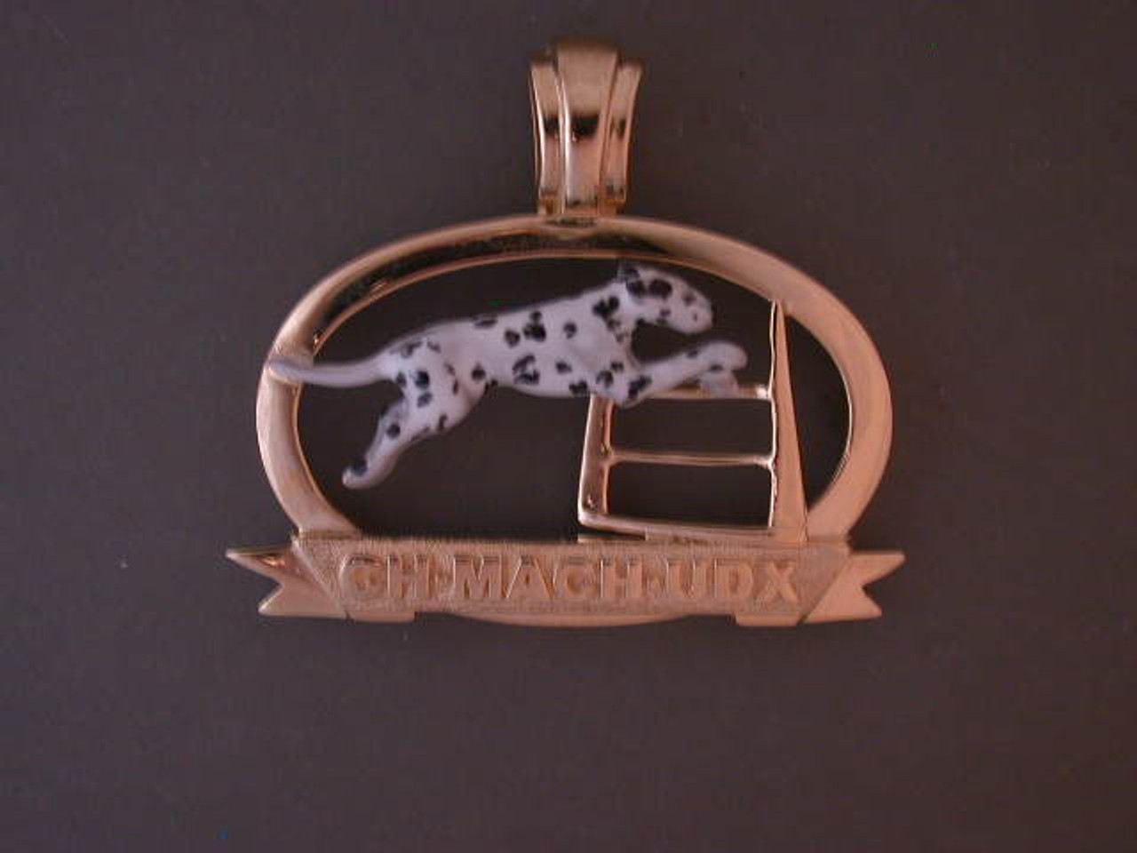 Title With Dalmatian Pendant