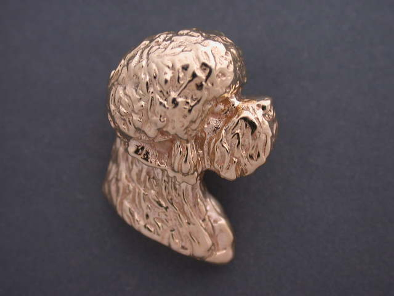 Dandie Dinmont Head R