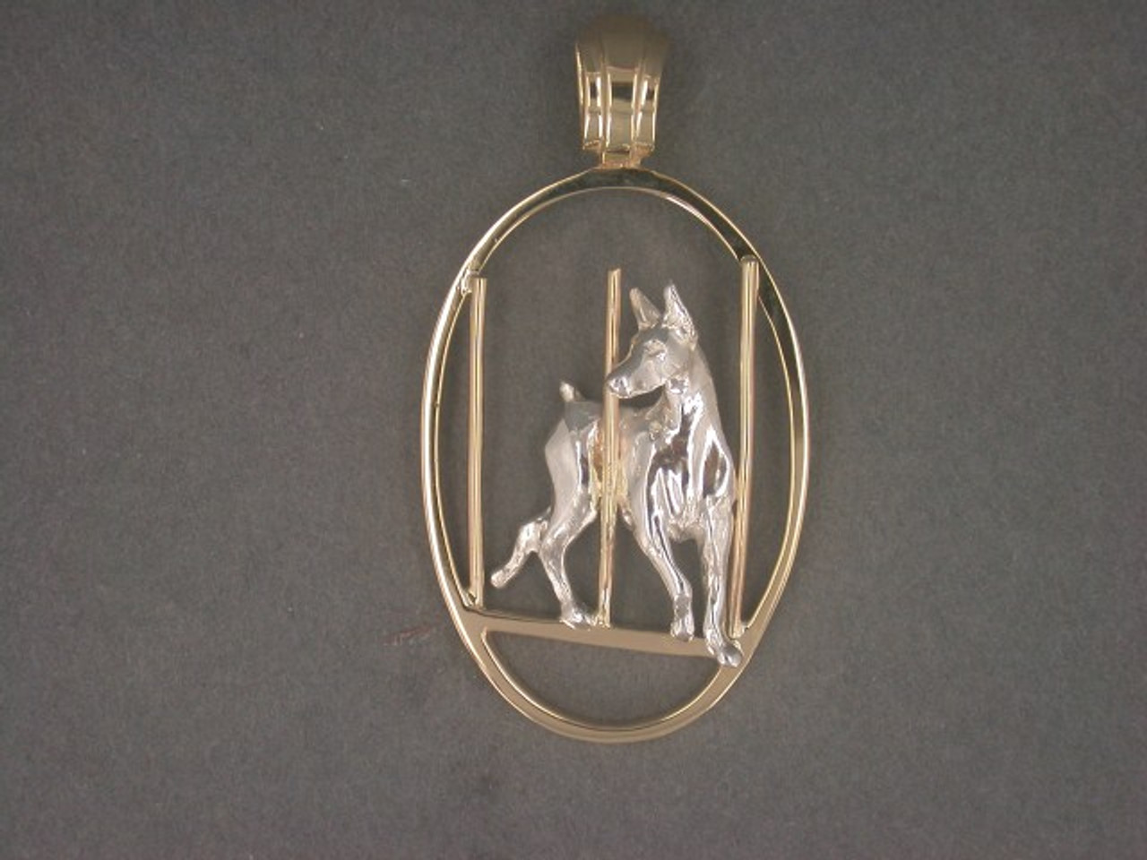 Frame Oval Doberman W Agility Pendant