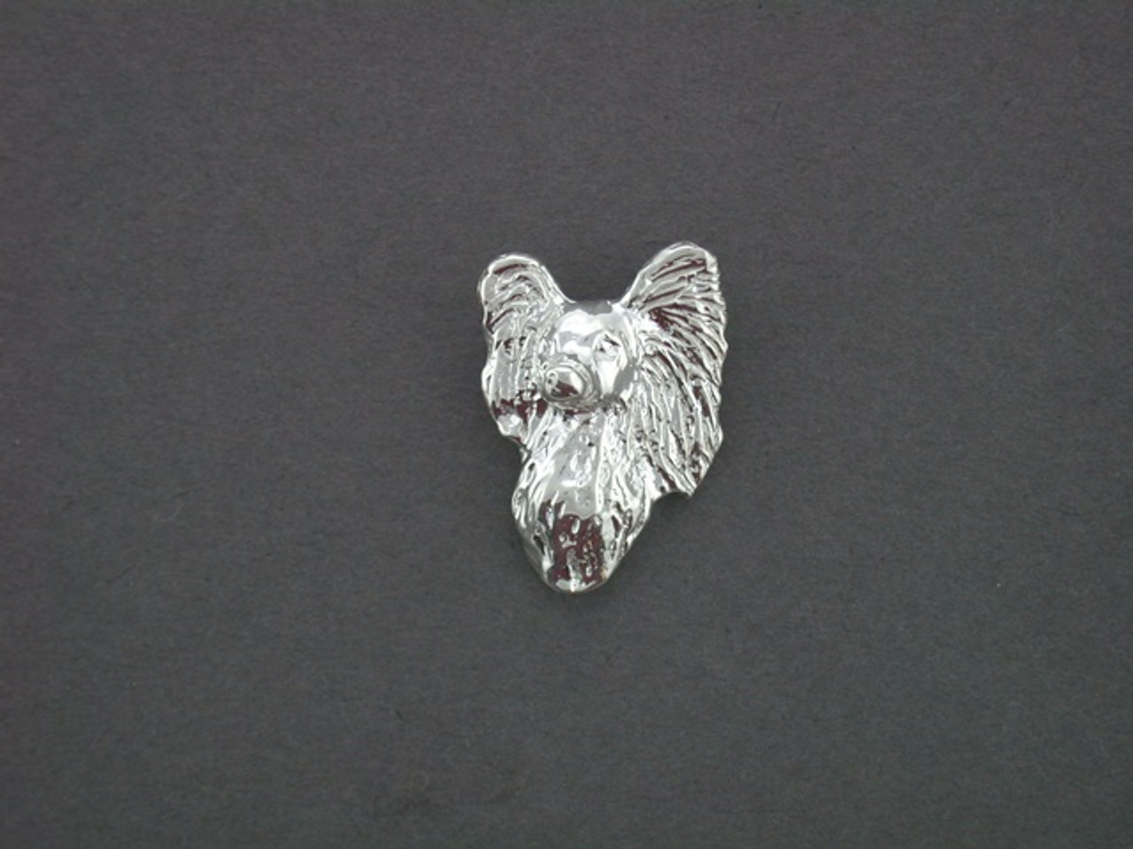silver papillon dog