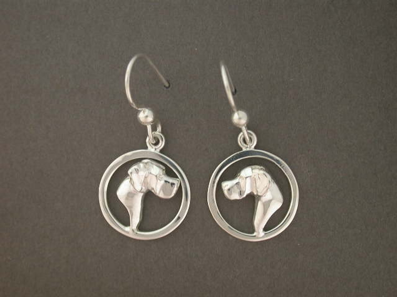 Earrings Round Sm Cir With Pointer